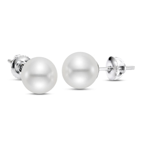 White South Sea pearl stud earrings in 14K white gold, featuring lustrous cultured pearls on elegant earring settings.